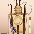 Burberry Goddess — Decant